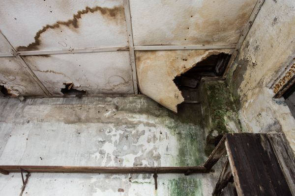 Water Damage Service in Sebring