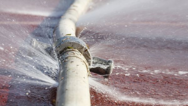 Burst Pipe Cleanup in Sebring