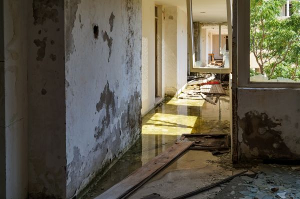 Water Removal Service in Sebring