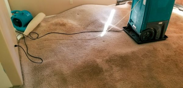 Carpet Water Extraction in Sebring