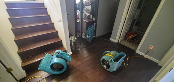 Water Damage Remediation in Sebring