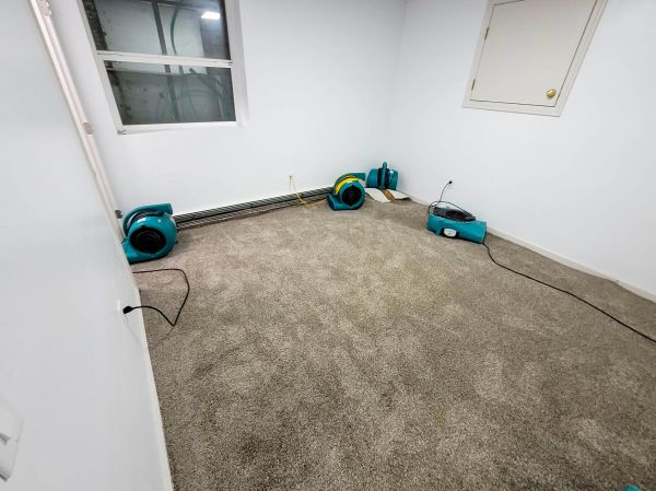 Flood Restoration Service in Sebring