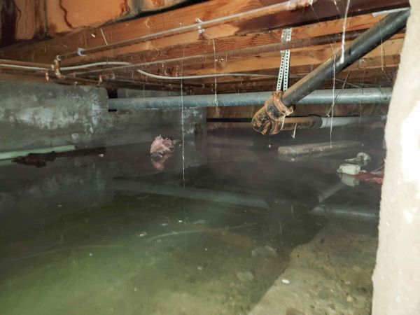 Water Mitigation Service in Sebring