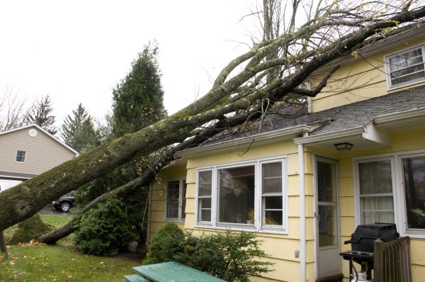 Hurricane Damage Repair in Sebring