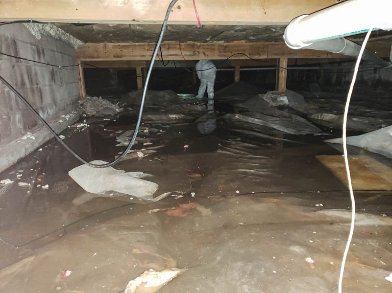 Basement Water Cleanup detail