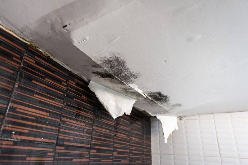 Water Damage Repair